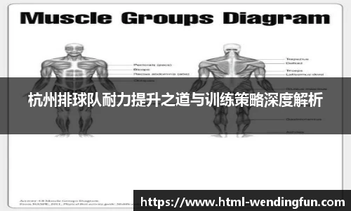 杭州排球队耐力提升之道与训练策略深度解析